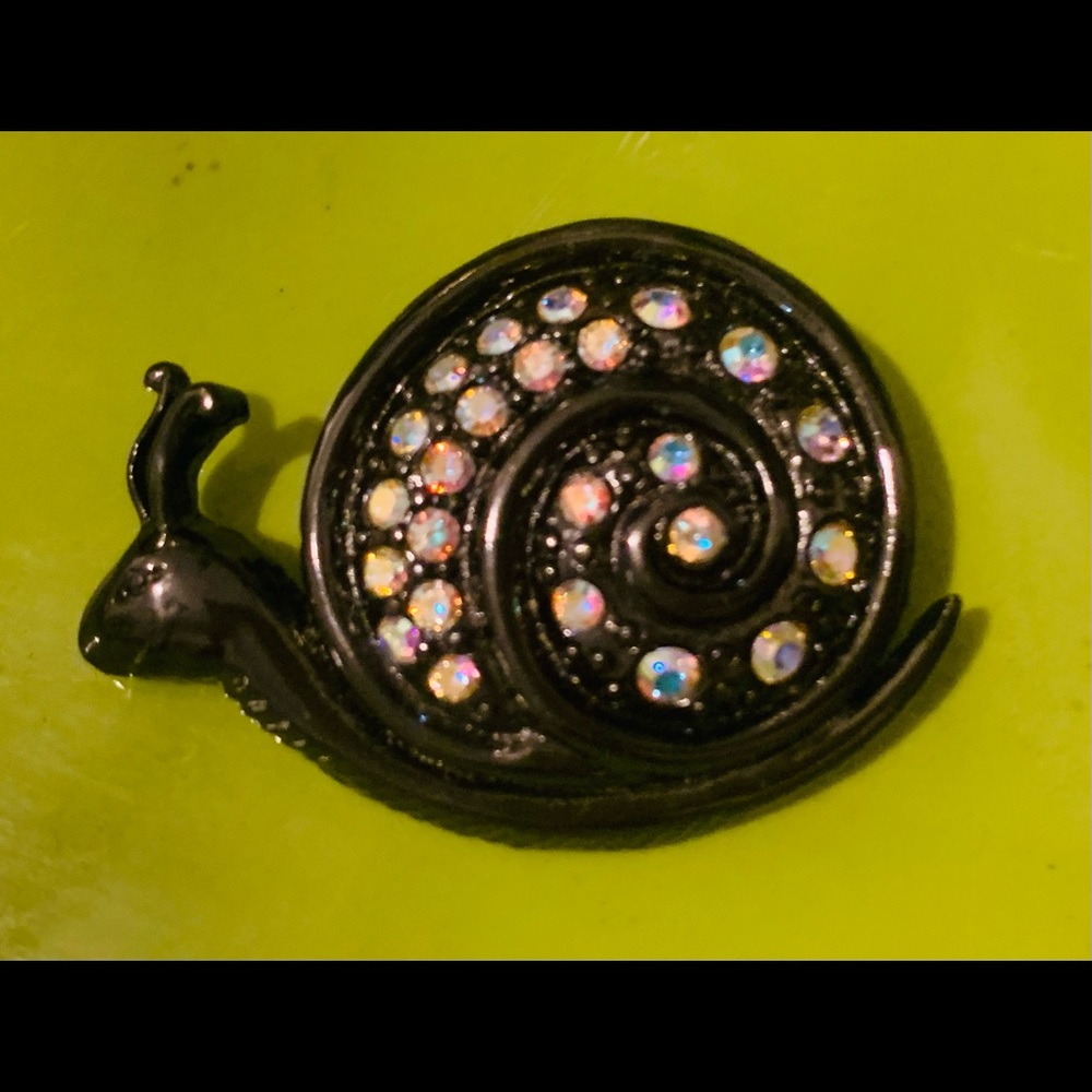Snail Brooch